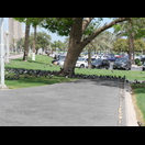 In der Mittagshitze suchen selbst Tauben Schatten